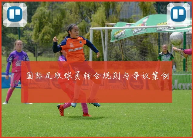 国际足联球员转会规则与争议案例