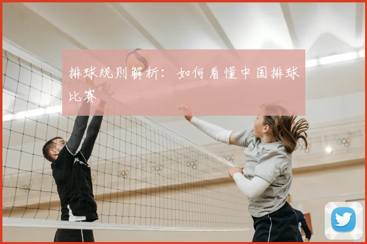 排球规则解析：如何看懂中国排球比赛