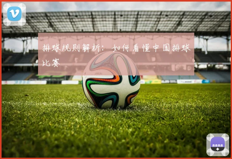 排球规则解析:如何看懂中国排球比赛