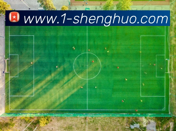 奖项证书